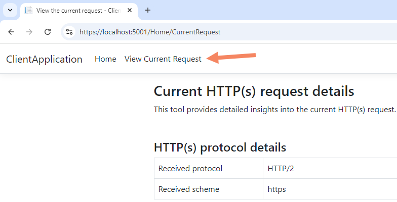 Example view of the included "View Current Request" viewer tool. Included in the tool that depends on IdentityServer for authentication.