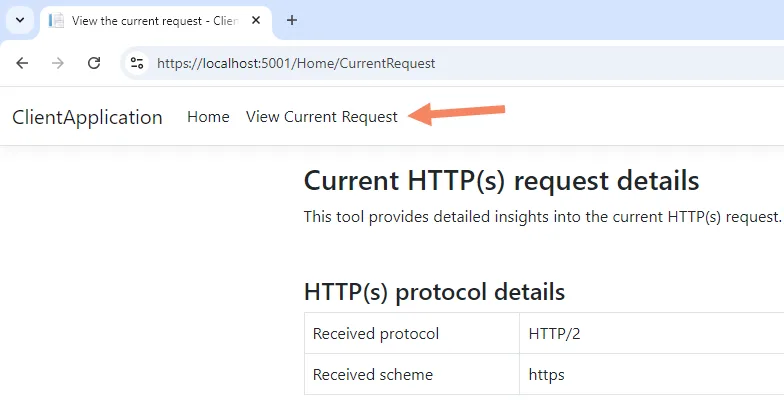 The "View Current Request" viewer tool. Included in the tool that shows the request details.