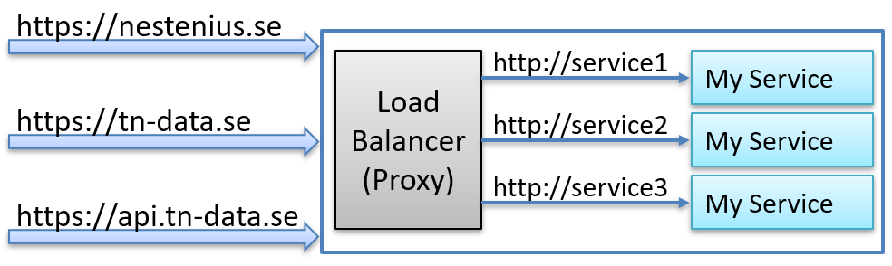 How a proxy can have multiple public domains