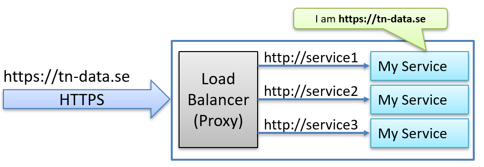 How we want the service to belive it is hosted on the public internet